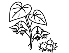 Epimedium (Horny Goat Weed) icon